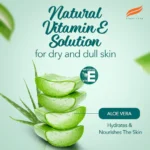 7599951-1_Himalaya-Moisturizing-Aloe-Vera-Face-Wash_200ml_FOP (1)