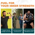 SHILAJIT-CAPSULES-60s-FRONT-INDIA-13542-F39-NP