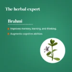 Brahmi (1)