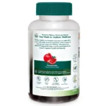 HEALTHY-GUT-GUMMIES-30s-A90-INDIA-13750-F39-FV (1)