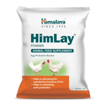 Himalaya HimLay 1 kg Powder
