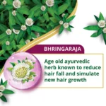 Himalaya-Bringha-80-Cond-Ecom-02_b9ffa926-7b1f-42bb-9524-64b7dfc851dc (1)