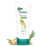 HimalayaGDSCondEcom-02 (1)