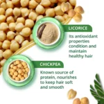 HimalayaGDSCondEcom-02 (1)