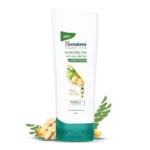 HimalayaGDSCondEcom-02 (1)