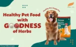 healthy-pet-food-adult