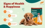 healthy-pet-food-adult