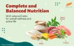 healthy-pet-food-adult