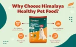 healthy-pet-food-adult