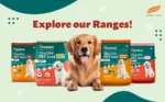 healthy-pet-food-adult