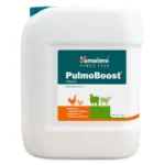 Himalaya  PulmoBoost 5 Liter