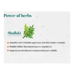 Shallaki