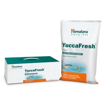 Himalaya YuccaFresh 1kg