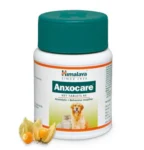 anxocare_9a254b3d-24c3-4dc7-9845-5d2538b4d5ae